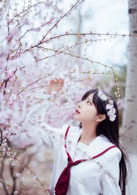 久久免费播放_蓝光免费观看视频